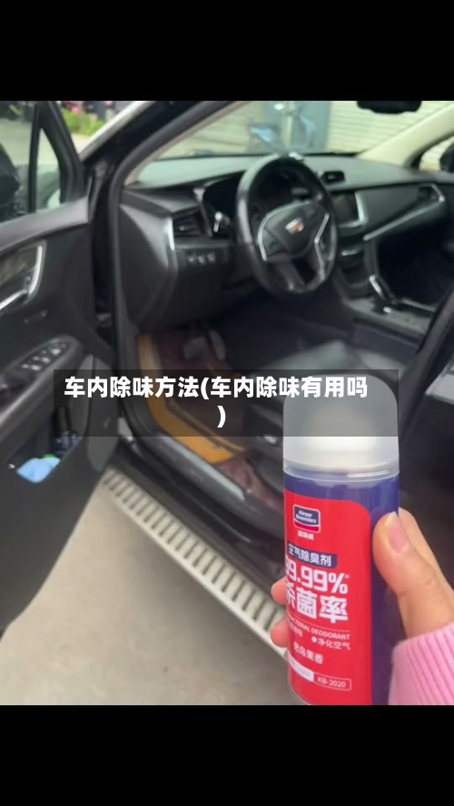 车内除味方法(车内除味有用吗)