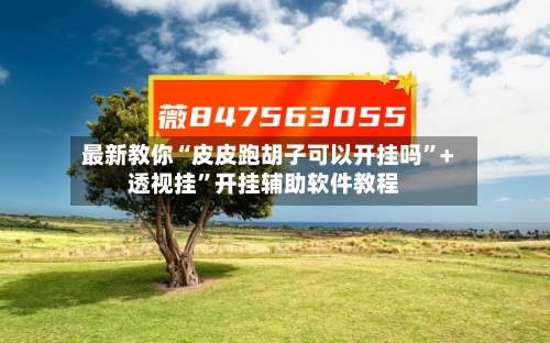 最新教你“皮皮跑胡子可以开挂吗”+透视挂	”开挂辅助软件教程-第2张图片