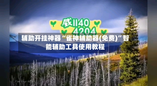 辅助开挂神器“雀神辅助器(免费)	”智能辅助工具使用教程-第2张图片