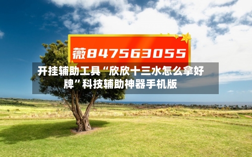 开挂辅助工具“欣欣十三水怎么拿好牌”科技辅助神器手机版-第2张图片