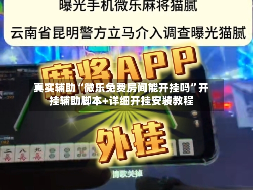 真实辅助“微乐免费房间能开挂吗”开挂辅助脚本+详细开挂安装教程-第2张图片