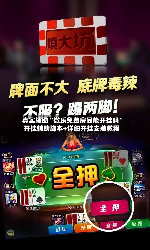 真实辅助“微乐免费房间能开挂吗”开挂辅助脚本+详细开挂安装教程-第3张图片