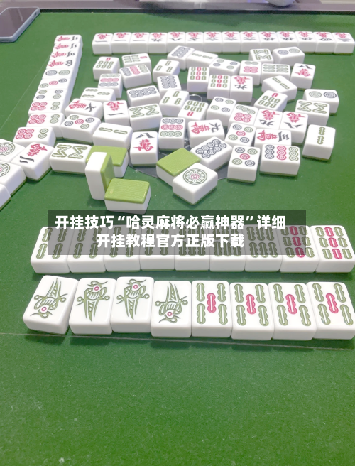 开挂技巧“哈灵麻将必赢神器”详细开挂教程官方正版下载-第2张图片
