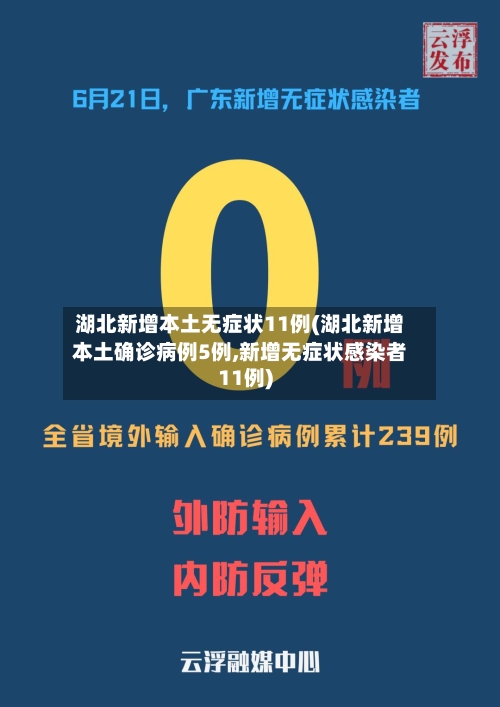湖北新增本土无症状11例(湖北新增本土确诊病例5例,新增无症状感染者11例)-第3张图片