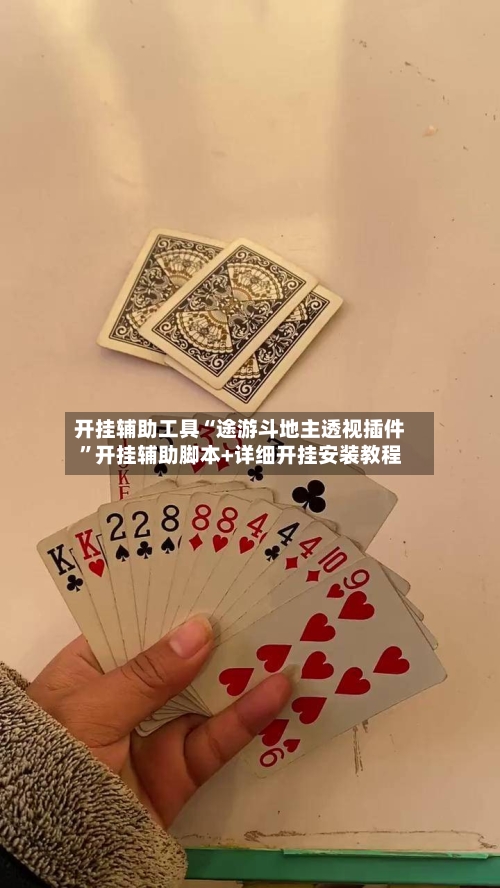 开挂辅助工具“途游斗地主透视插件	”开挂辅助脚本+详细开挂安装教程-第2张图片