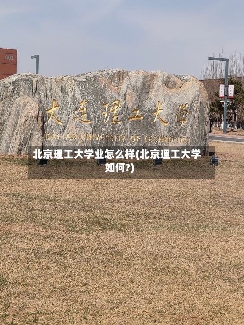 北京理工大学业怎么样(北京理工大学如何?)-第2张图片