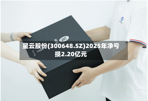 星云股份(300648.SZ)2025年净亏损2.20亿元
