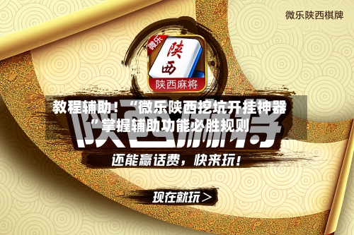 教程辅助！“微乐陕西挖坑开挂神器”掌握辅助功能必胜规则-第3张图片