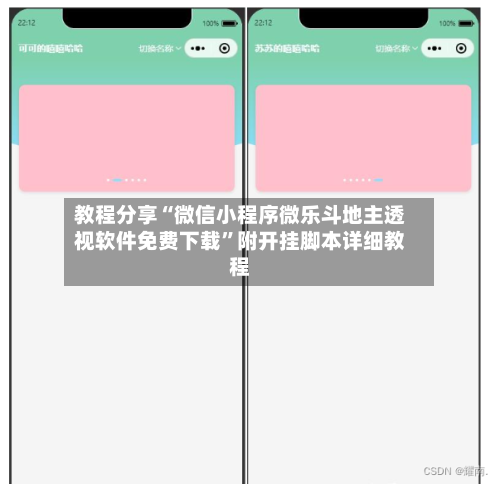 教程分享“微信小程序微乐斗地主透视软件免费下载”附开挂脚本详细教程-第2张图片