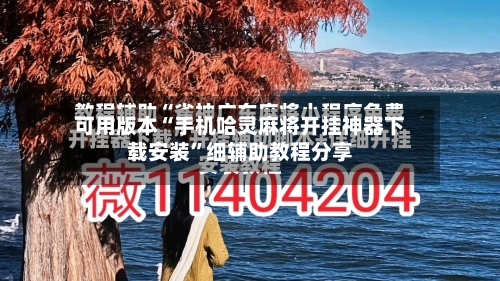 可用版本“手机哈灵麻将开挂神器下载安装”细辅助教程分享-第3张图片