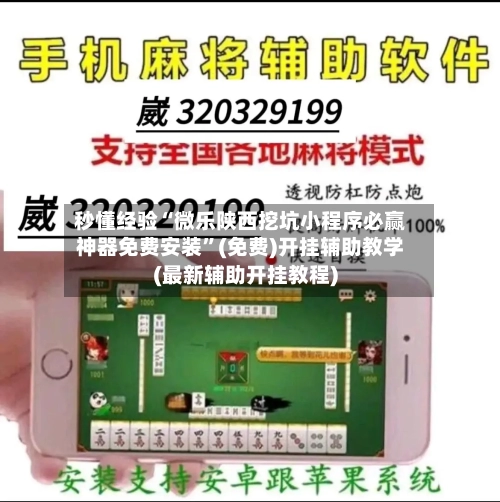 秒懂经验“微乐陕西挖坑小程序必赢神器免费安装”(免费)开挂辅助教学(最新辅助开挂教程)-第2张图片