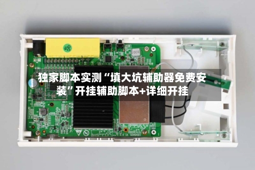 独家脚本实测“填大坑辅助器免费安装”开挂辅助脚本+详细开挂