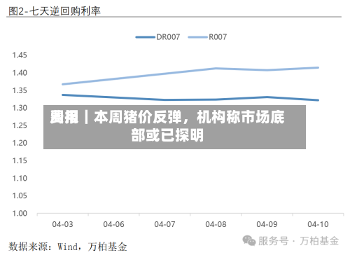 费用周报｜本周猪价反弹，机构称市场底部或已探明-第3张图片
