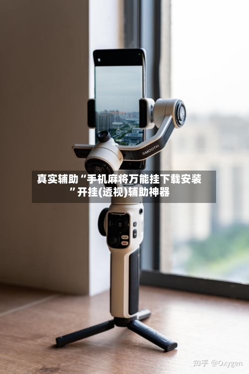 真实辅助“手机麻将万能挂下载安装”开挂(透视)辅助神器-第3张图片