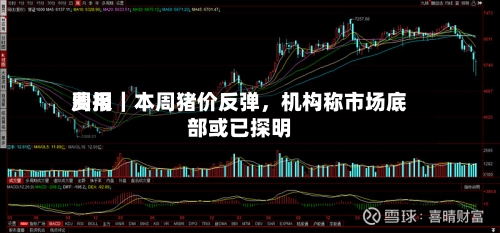 费用周报｜本周猪价反弹，机构称市场底部或已探明-第3张图片