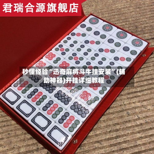 秒懂经验“迅奇麻将斗牛挂安装”(辅助神器)开挂详细教程-第2张图片