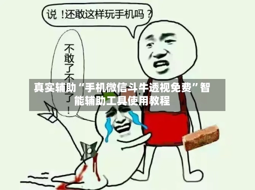 真实辅助“手机微信斗牛透视免费”智能辅助工具使用教程-第3张图片