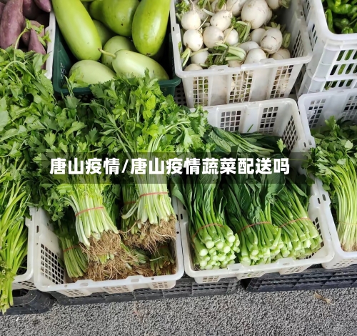 唐山疫情/唐山疫情蔬菜配送吗-第2张图片