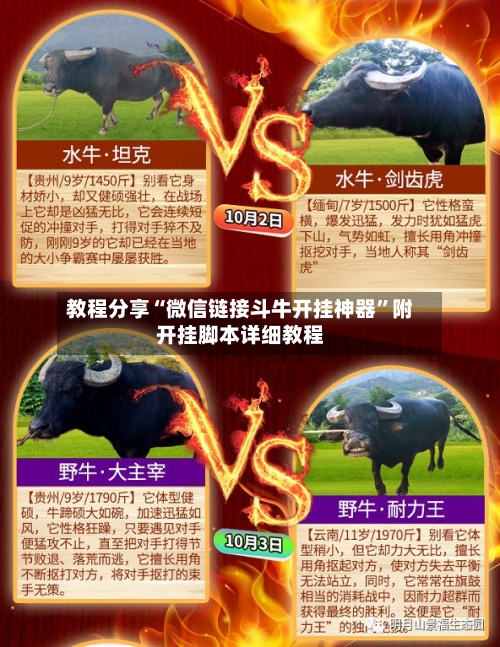 教程分享“微信链接斗牛开挂神器”附开挂脚本详细教程