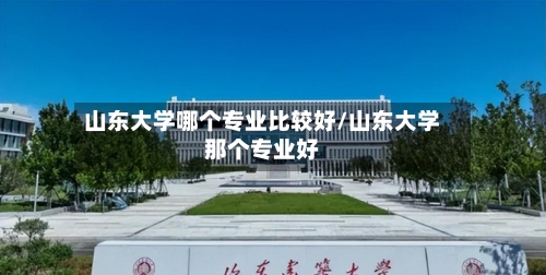 山东大学哪个专业比较好/山东大学那个专业好