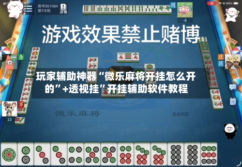 玩家辅助神器“微乐麻将开挂怎么开的”+透视挂	”开挂辅助软件教程-第2张图片