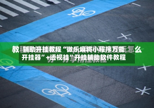 辅助开挂教程“微乐麻将小程序万能开挂器”+透视挂”开挂辅助软件教程-第2张图片