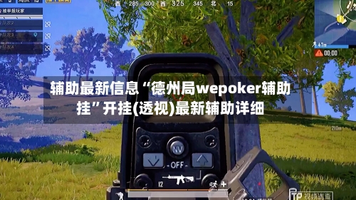 辅助最新信息“德州局wepoker辅助挂	”开挂(透视)最新辅助详细-第2张图片