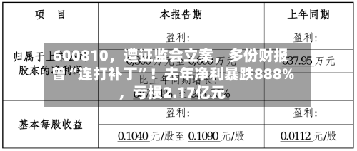600810	，遭证监会立案，多份财报曾“连打补丁”！去年净利暴跌888%，亏损2.17亿元-第2张图片
