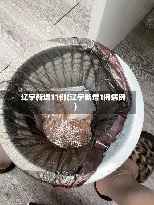 辽宁新增11例(辽宁新增1例病例)