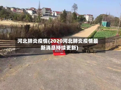 河北肺炎疫情(2020河北肺炎疫情最新消息持续更新)