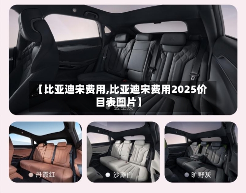 【比亚迪宋费用,比亚迪宋费用2025价目表图片】-第2张图片