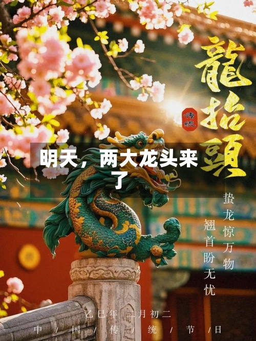 明天，两大龙头来了