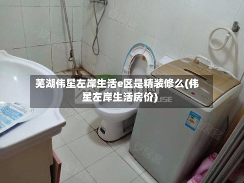 芜湖伟星左岸生活e区是精装修么(伟星左岸生活房价)