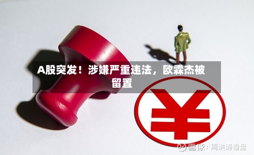 A股突发！涉嫌严重违法，欧霖杰被留置-第2张图片