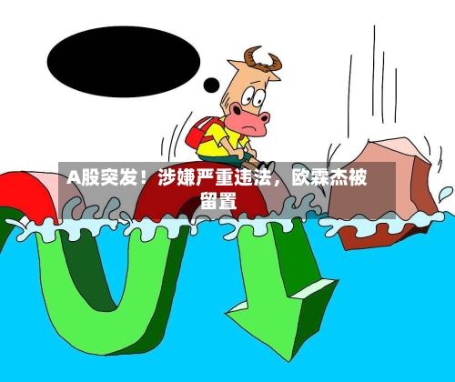 A股突发！涉嫌严重违法	，欧霖杰被留置-第3张图片