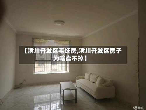 【潢川开发区毛坯房,潢川开发区房子为啥卖不掉】-第3张图片