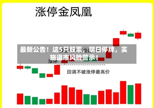 最新公告！这5只股票，明日停牌，实施退市风险警示！