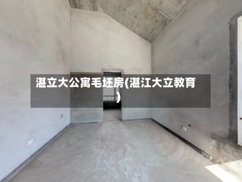 湛立大公寓毛坯房(湛江大立教育)