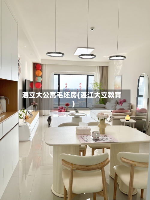 湛立大公寓毛坯房(湛江大立教育)-第2张图片