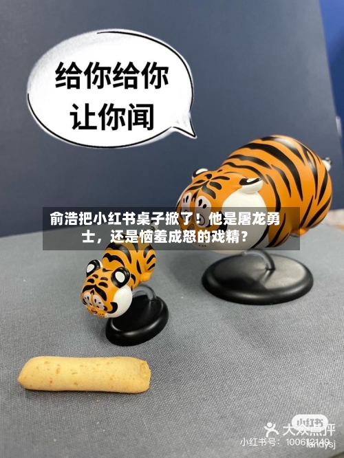 俞浩把小红书桌子掀了！他是屠龙勇士，还是恼羞成怒的戏精？