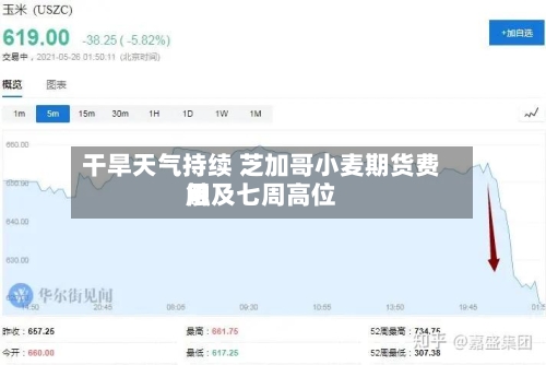 干旱天气持续 芝加哥小麦期货费用触及七周高位