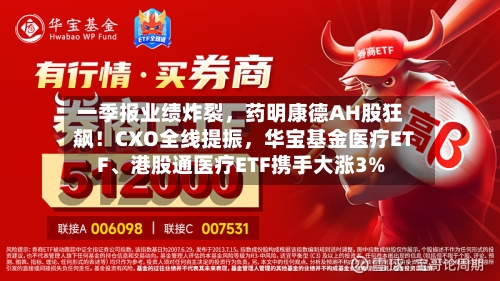 一季报业绩炸裂，药明康德AH股狂飙！CXO全线提振，华宝基金医疗ETF、港股通医疗ETF携手大涨3%-第3张图片
