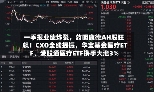 一季报业绩炸裂，药明康德AH股狂飙！CXO全线提振	，华宝基金医疗ETF、港股通医疗ETF携手大涨3%-第2张图片