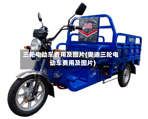 三轮电动车费用及图片(奥迪三轮电动车费用及图片)