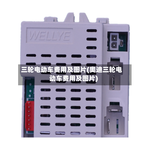 三轮电动车费用及图片(奥迪三轮电动车费用及图片)-第2张图片