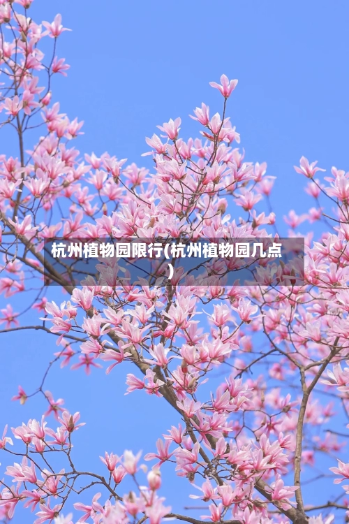 杭州植物园限行(杭州植物园几点)