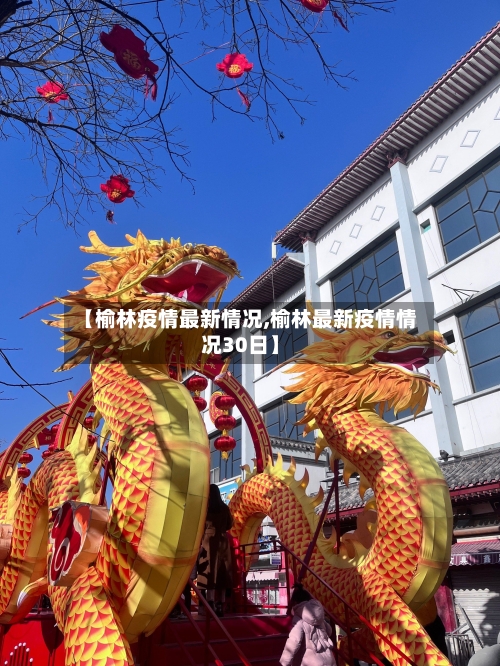 【榆林疫情最新情况,榆林最新疫情情况30日】-第3张图片