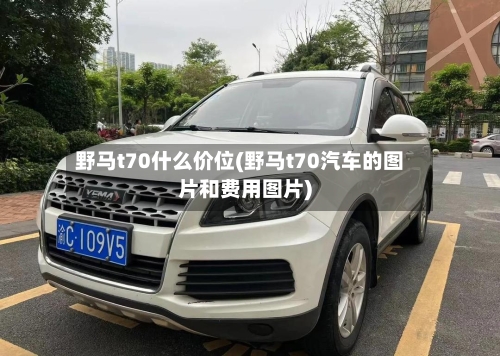 野马t70什么价位(野马t70汽车的图片和费用图片)