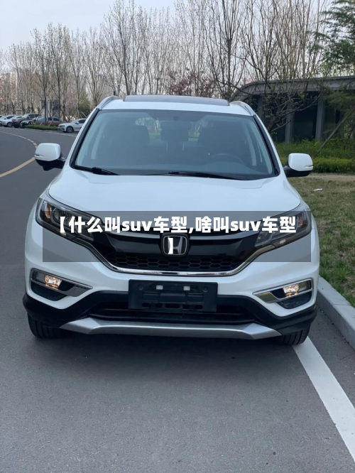 【什么叫suv车型,啥叫suv车型】-第2张图片