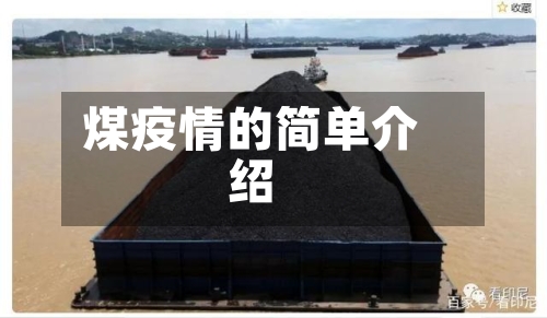 煤疫情的简单介绍-第2张图片